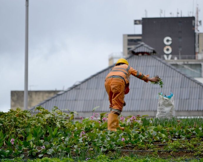 Inovação e Sustentabilidade no Empreendedorismo