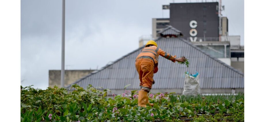 Inovação e Sustentabilidade no Empreendedorismo