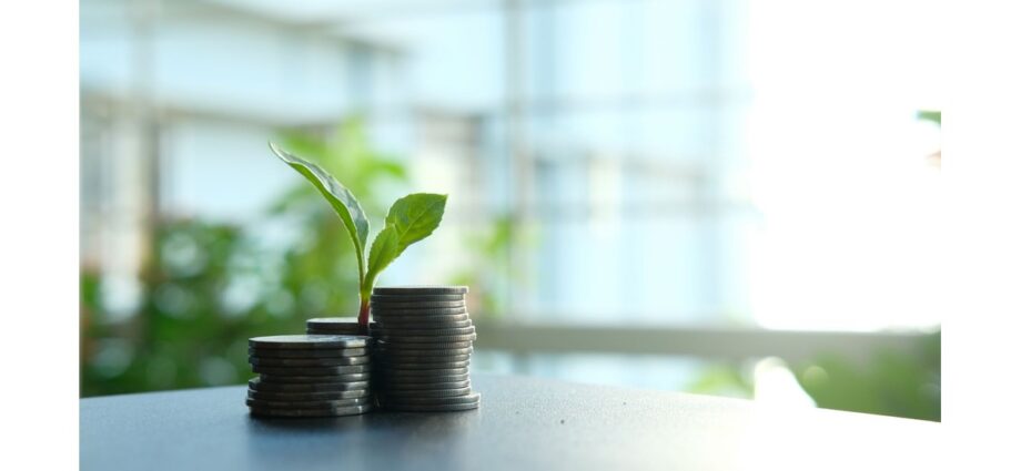 Empreendedor analisando dados para um negócio sustentável